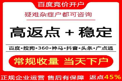 百度推广在电商领域的应用：成功提升销售额的秘诀